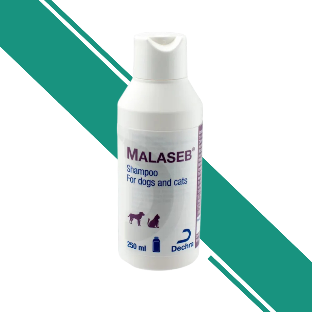 Malaseb Shampoo for Dogs and Cats - 250ml